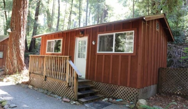 "Madrone" Cabin In the Redwoods, River Access, WiFi nn