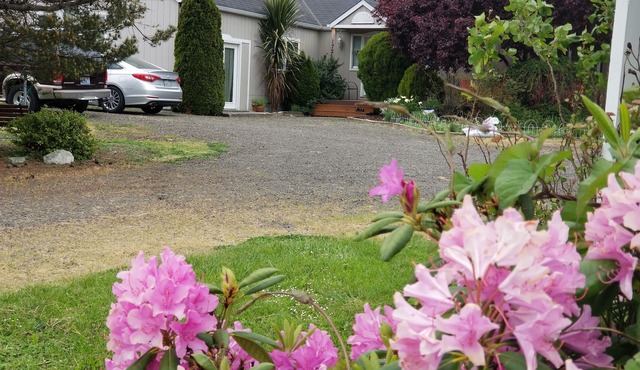 Maggie May Guest Lodge