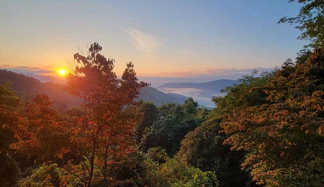 Maggie Valley Dream Home! Breathtaking Mountain Views, Luxury upgrades, Pets ok!