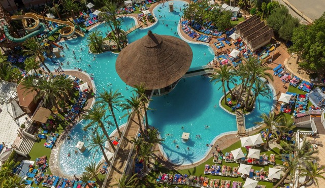 Magic Tropical Splash
