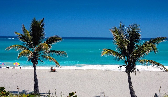Magical 10+ Acre Waterfront Nature Retreat. Near Beaches, Bars and Restaurants.