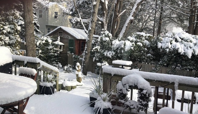 Magical beautiful Country Home - 15 mi to beaches, golf, biking and restaurants