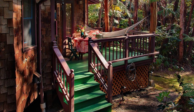 MAGICAL & COZY GEM! BIRDS, HUGE FERNS ABOUND IN NATIVE RAINFOREST. SO QUIET.