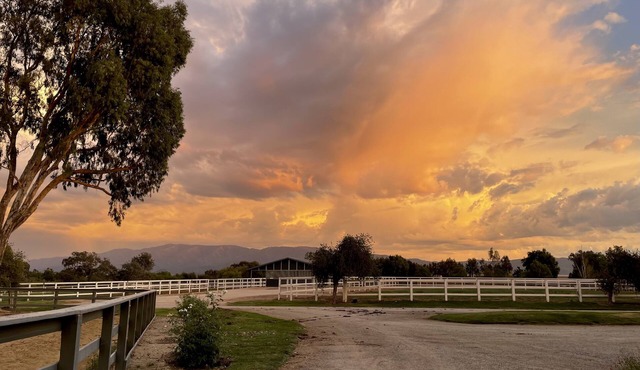 Magical Equestrian Ranch in Santa Barbara Wine Country. Visit Lone Sheep Ranch.