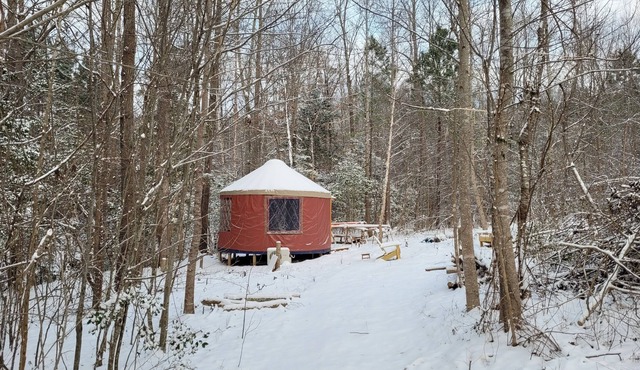 Magical Forest Yurt