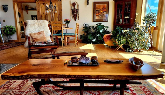Magical Home with Hot Tub in Ridgway CO for March and/or April 2026