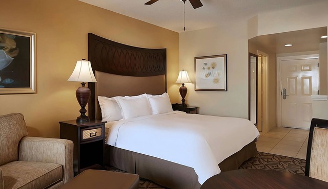 Magical Oasis in the Heart of Orlando! Outdoor Pool, Kitchenette, Free Parking!