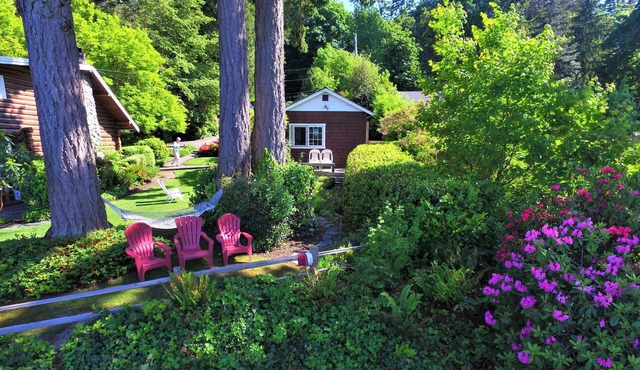 Magical Puget Sound Beachfront Cottage -Panoramic View +Kayaks, Hiking, Birds!