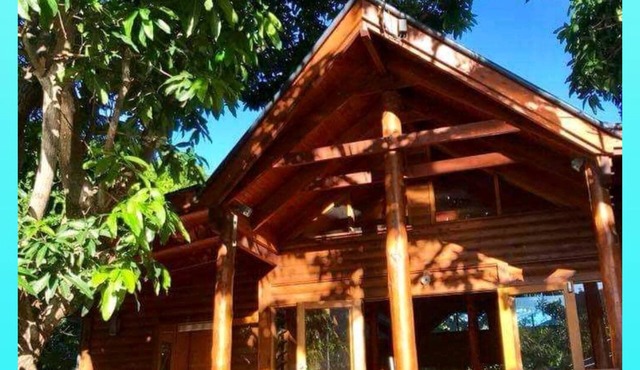 Magical tree house.Close to beach, walks, restaurants.Abundance of nature