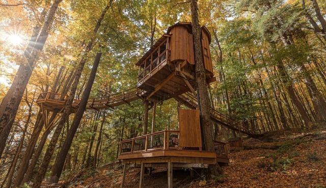 Magical Tree House Rental in the Woods near Syracuse for Glamping in New York State
