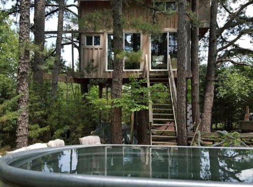 Magical Tree House Rental Nestled in the Woods on Farm Retreat near St. Louis, Missouri