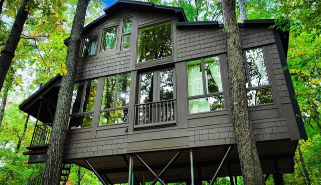 Magical Treehouse in Woods, Close many Wineries & Breweries, Pet Friendly!