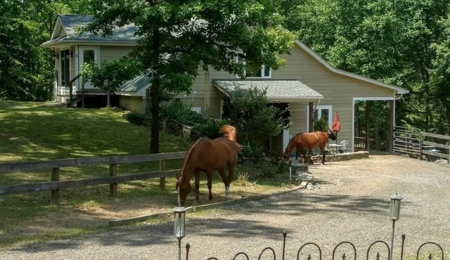 Magical Unicorn Hollow/Wineries/Great Meadows EventsnFully furnished apartment