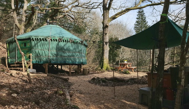 Magical Woodland Yurt with stunning mountain and estuary views