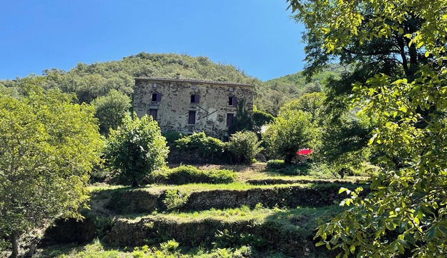 MAGNANERIE OLD IN CEVENNES