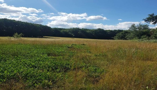 Magnificent Small 19th Century Manor