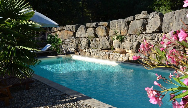 Magnificent 19th century stone Mas, large swimming pool, large wooded property