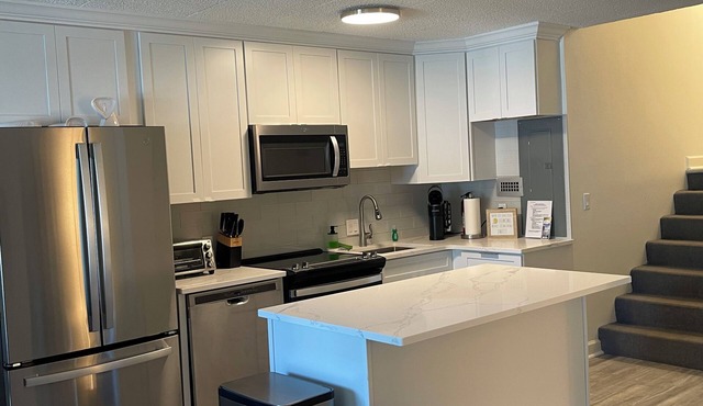 Magnificent 2- bedroom condo in Downtown Rehoboth 5 blocks to ocean & boardwalk