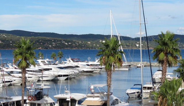 Magnificent 4pers apartment, air-conditioned, in the marina. beach 3mn walk.