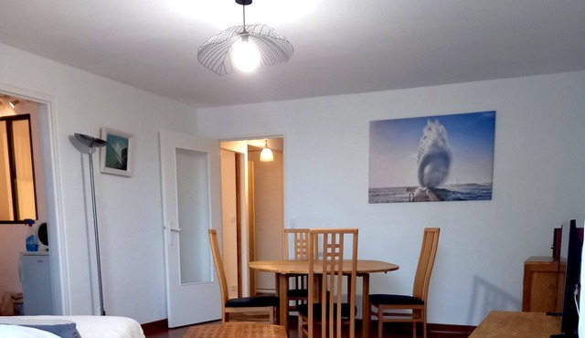 Magnificent 45m2-feet in the water-Sea view