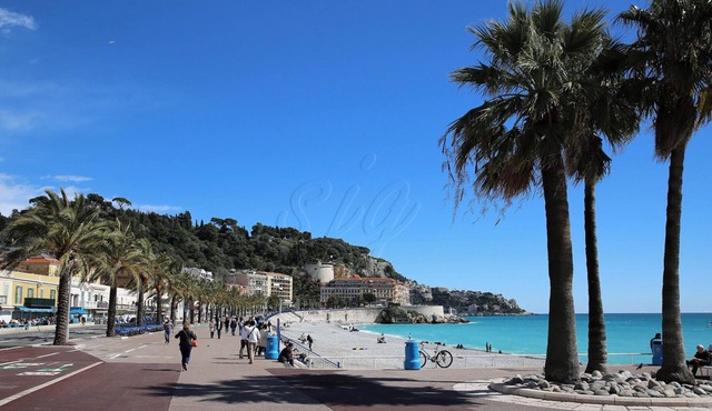 Magnificent air-conditioned apartment 50 metres from the sea