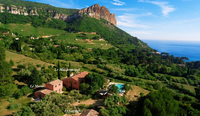 Magnificent ancient farm that has been reformed. Exceptional location in Cassis