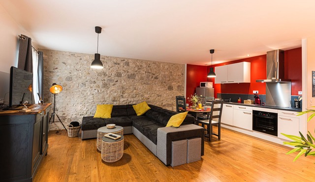 Magnificent apartment facing the Château Henri IV