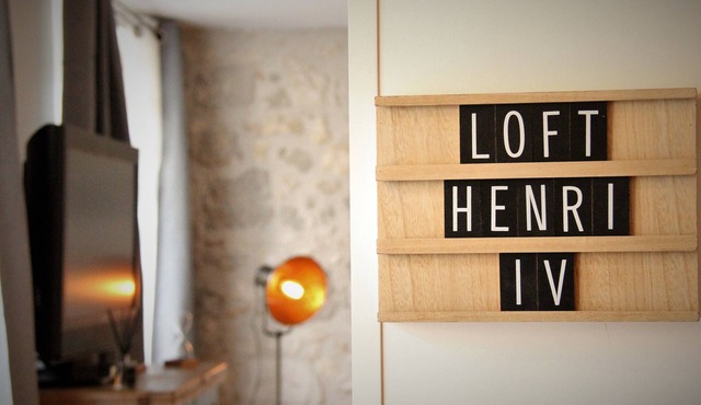 Magnificent apartment - Le loft Henri IV- facing the Château Henri IV