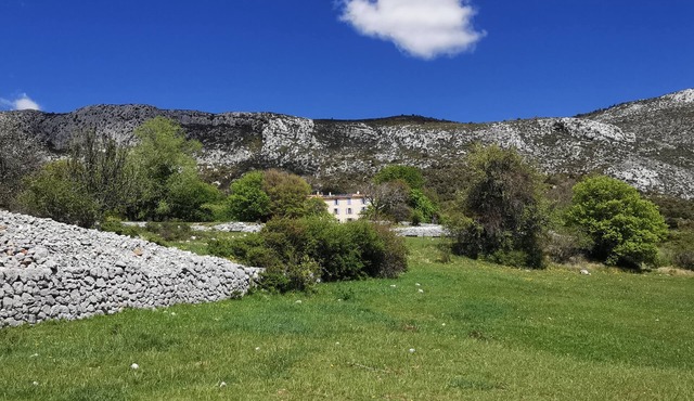 MAGNIFICENT "BASTIDE" GITE ON ORGANIC FARM/DONKEY HANDLING IN LE VERDON