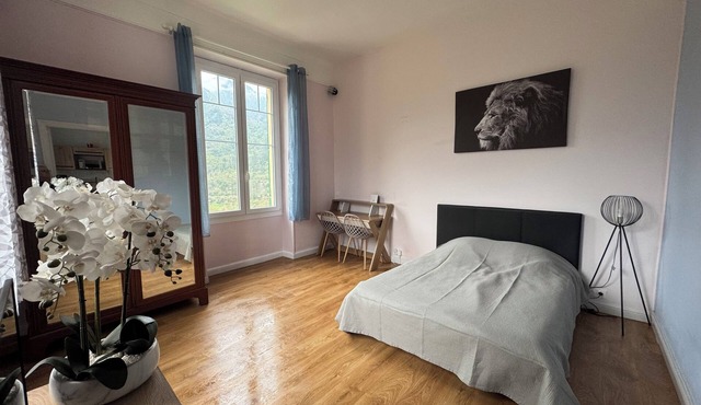 Magnificent, bright 2-room apartment in a privileged natural setting