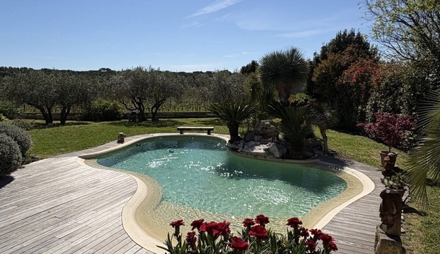 MAGNIFICENT CALIFORNIAN SWIMMING POOL-HOUSE-le clos des vignes
