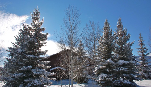 Magnificent Canyon View Home, Pet Friendly, Huge Deck with Hot Tub
