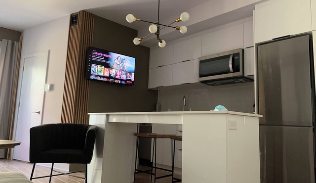 Magnificent condo in downtown with parking - 5 mins to Metro