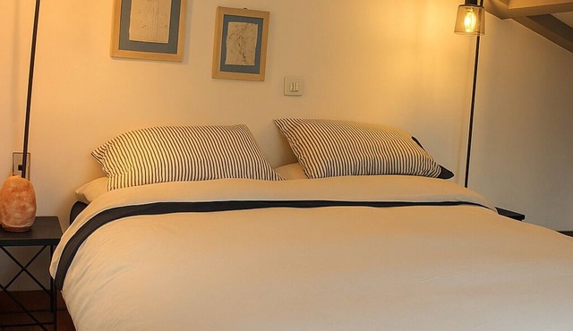 Magnificent cottage close to downtown Aix
