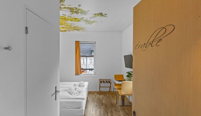 Magnificent double room in the heart of Sierre