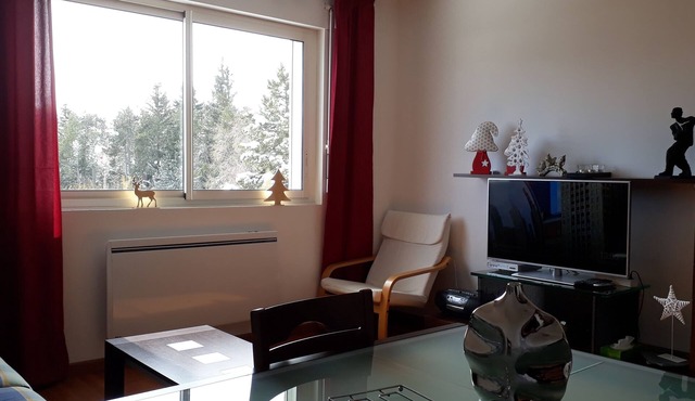 Magnificent Duplex T4 near Font-Romeu Pyrénées 2000 resort