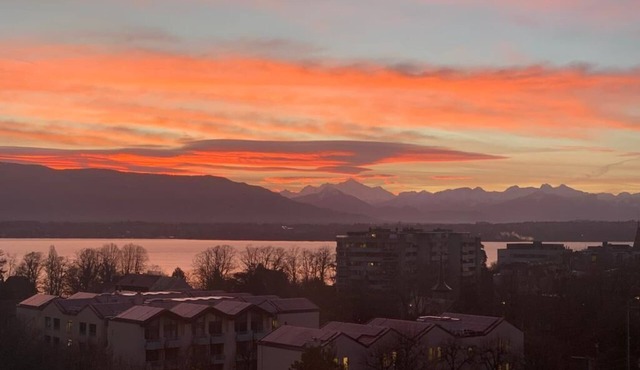 Magnificent family apartment with Montblanc and Lake Leman views