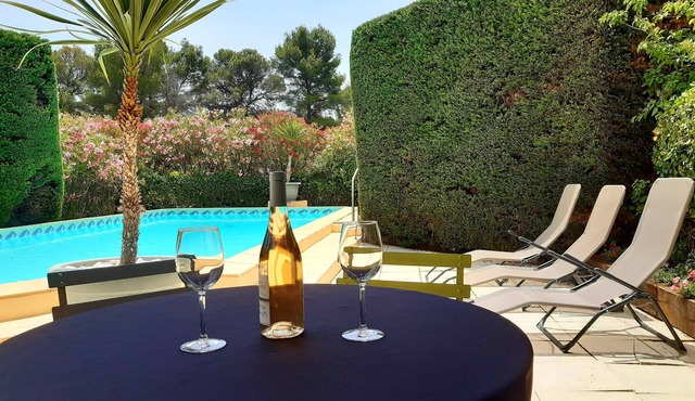 Magnificent country houses and swimming pool in the south of France