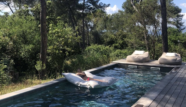 Magnificent architect-designed house in the pines overlooking Pic sur Loup