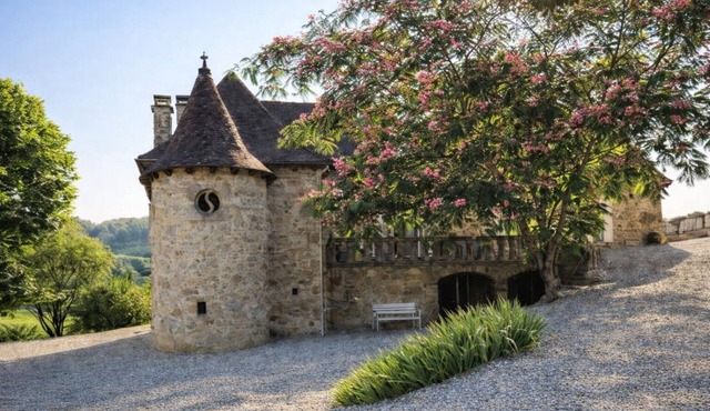 Magnificent mansion with large swimming pool on the outskirts of Périgord!