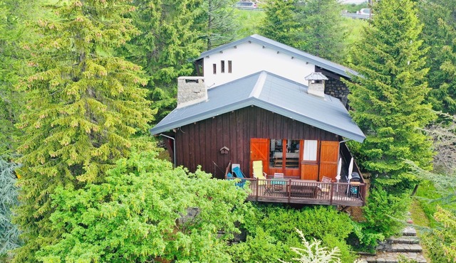 Magnificent family chalet in Valberg