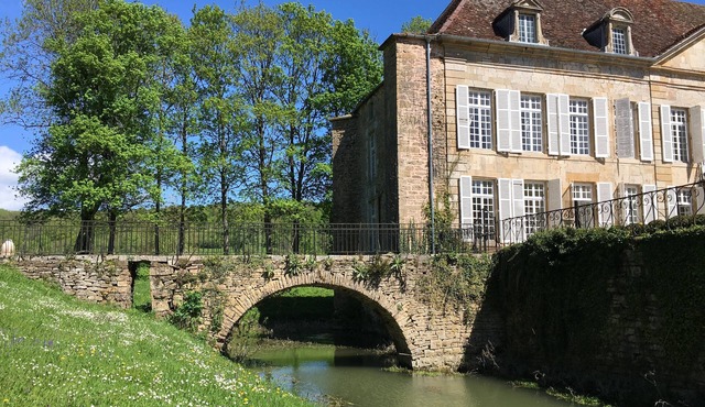 Magnificent castle with swimming pool, park, between Champagne and Burgundy