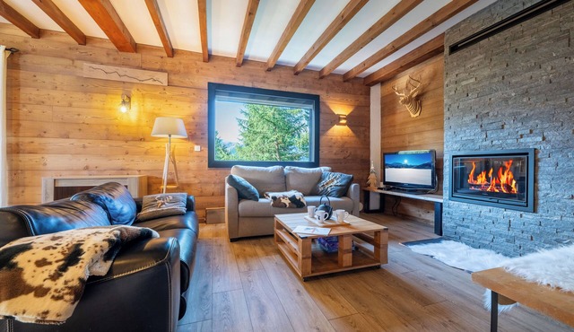 Magnificent fully renovated apartment with fireplace in chalet