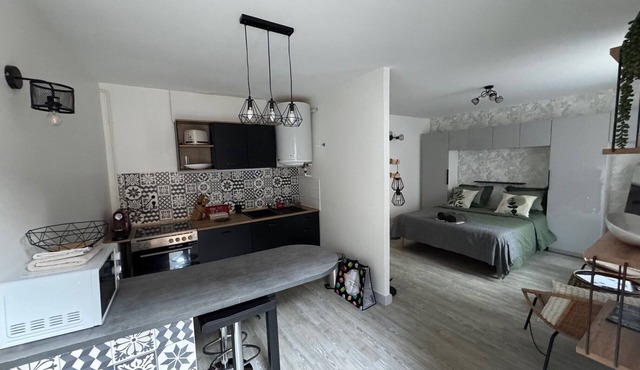 Magnificent ground-floor studio in the heart of the loop and close to the citadel