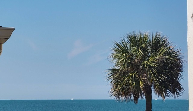Magnificent Gulf & Sunset Views in Belleair Beach