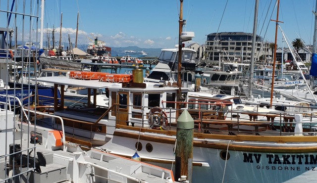 Magnificent Harbour Views 405