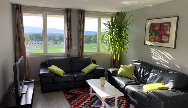 Magnificent House 2 steps from Geneva/Ski Resort