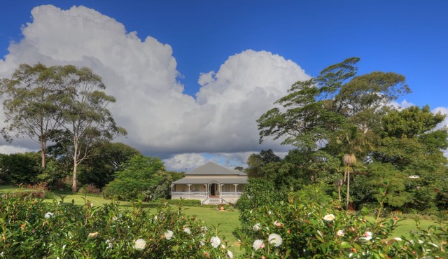 Magnificent, Iconic Queenslander with beautiful gardens and Pool.