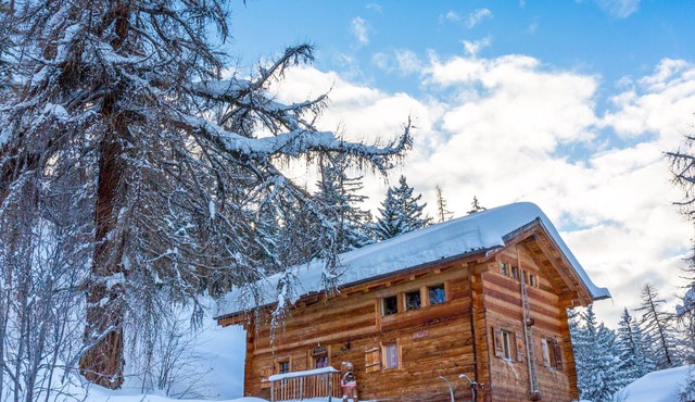 Magnificent large chalet on the slopes more information La gouille à l'ours