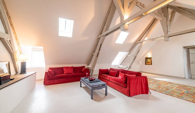 Magnificent Loft in Avallon 6p